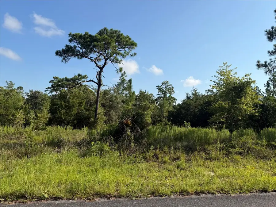 35th Street, Morriston, FL 32668 - #2