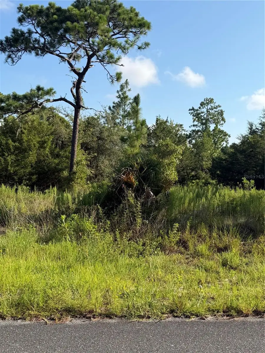 35th Street, Morriston, FL 32668 - #3