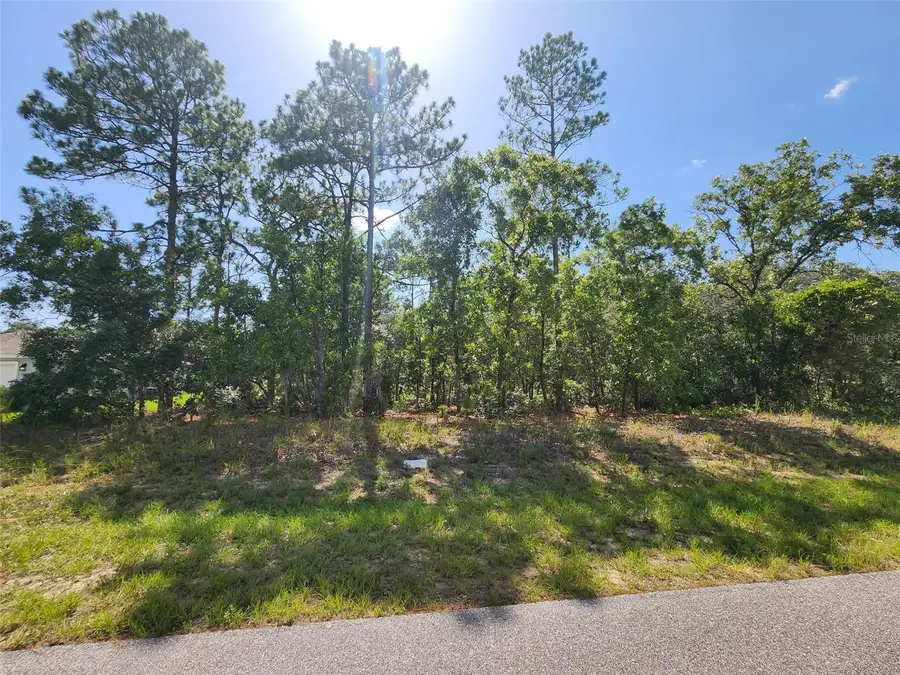 9712 N Lovell Dr, Dunnellon, FL 34433 - #3