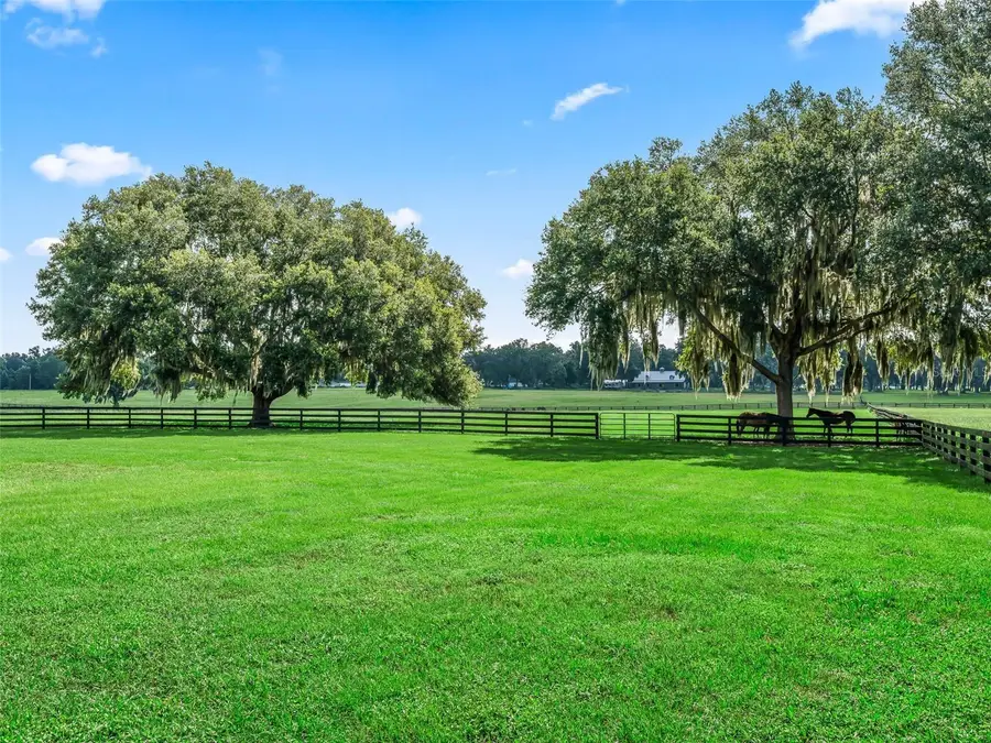 15351 SE 57th Terrace, Summerfield, FL 34491 - #3