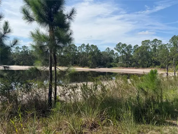 TBD Malauka Pass Trail, OCKLAWAHA, FL 32179
