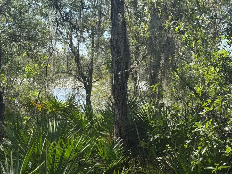 TBD Malauka Pass Trail, Ocklawaha, FL 32179 - #3