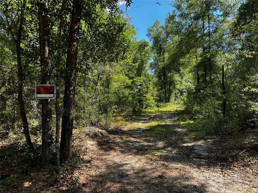 TBD NE 81st Street, Bronson, FL 32621 - #3