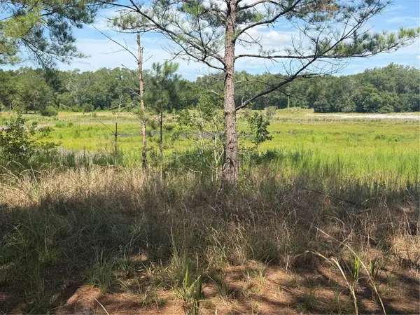 TBD Guava Terrace, OCKLAWAHA, FL 32179