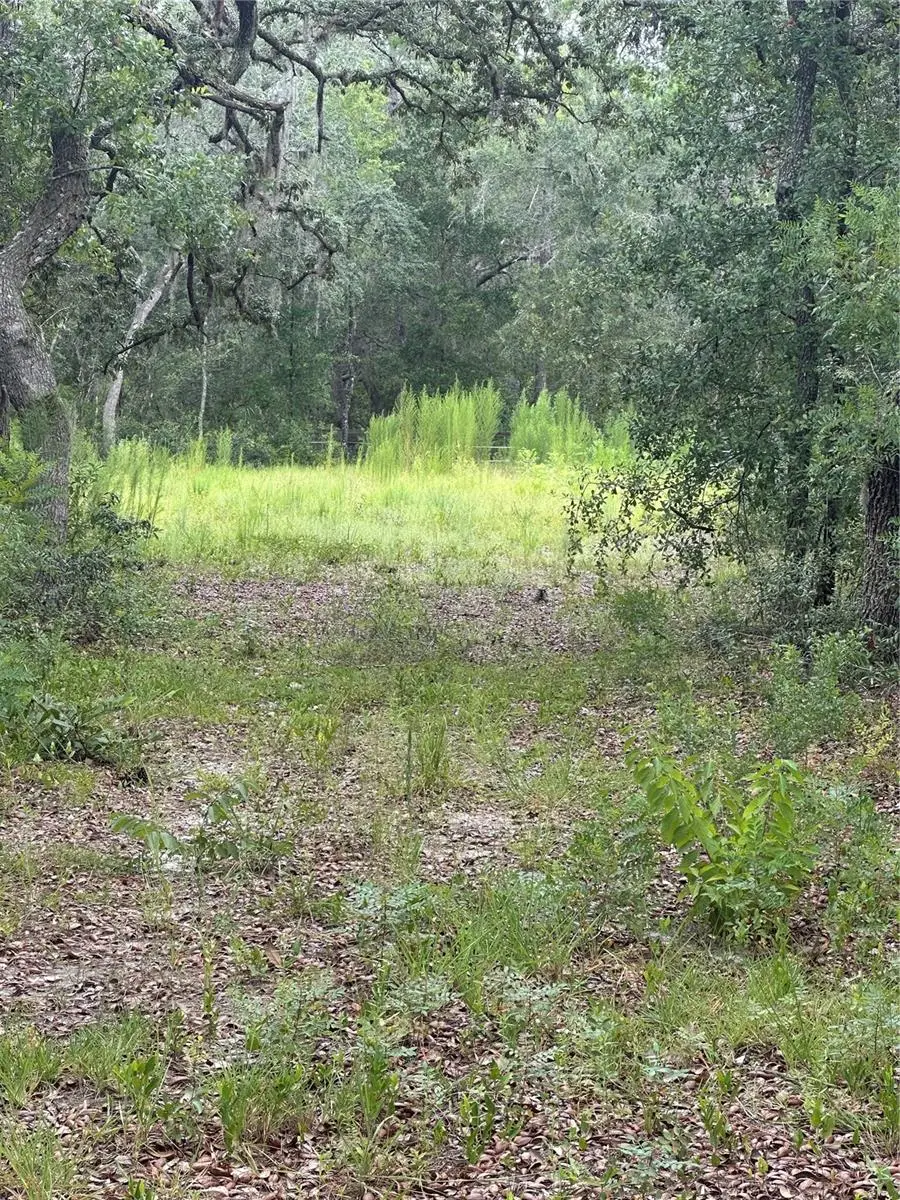 5730 SE County Road 337, Morriston, FL 32668 - #1