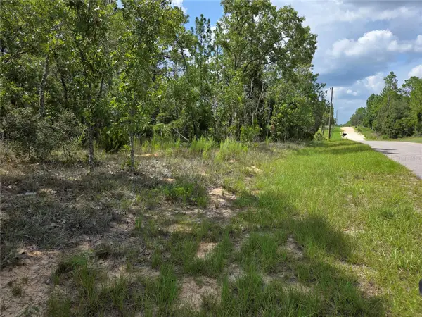 0000 NE 150th Avenue, WILLISTON, FL 32696