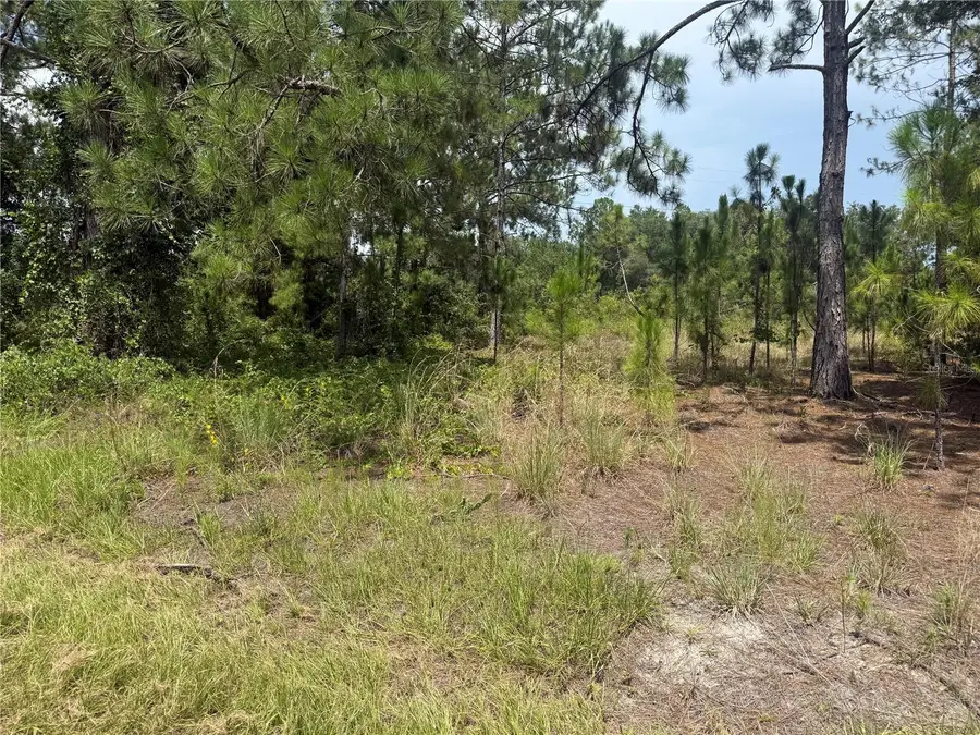 Locust Crs, Ocala, FL 34472 - #2