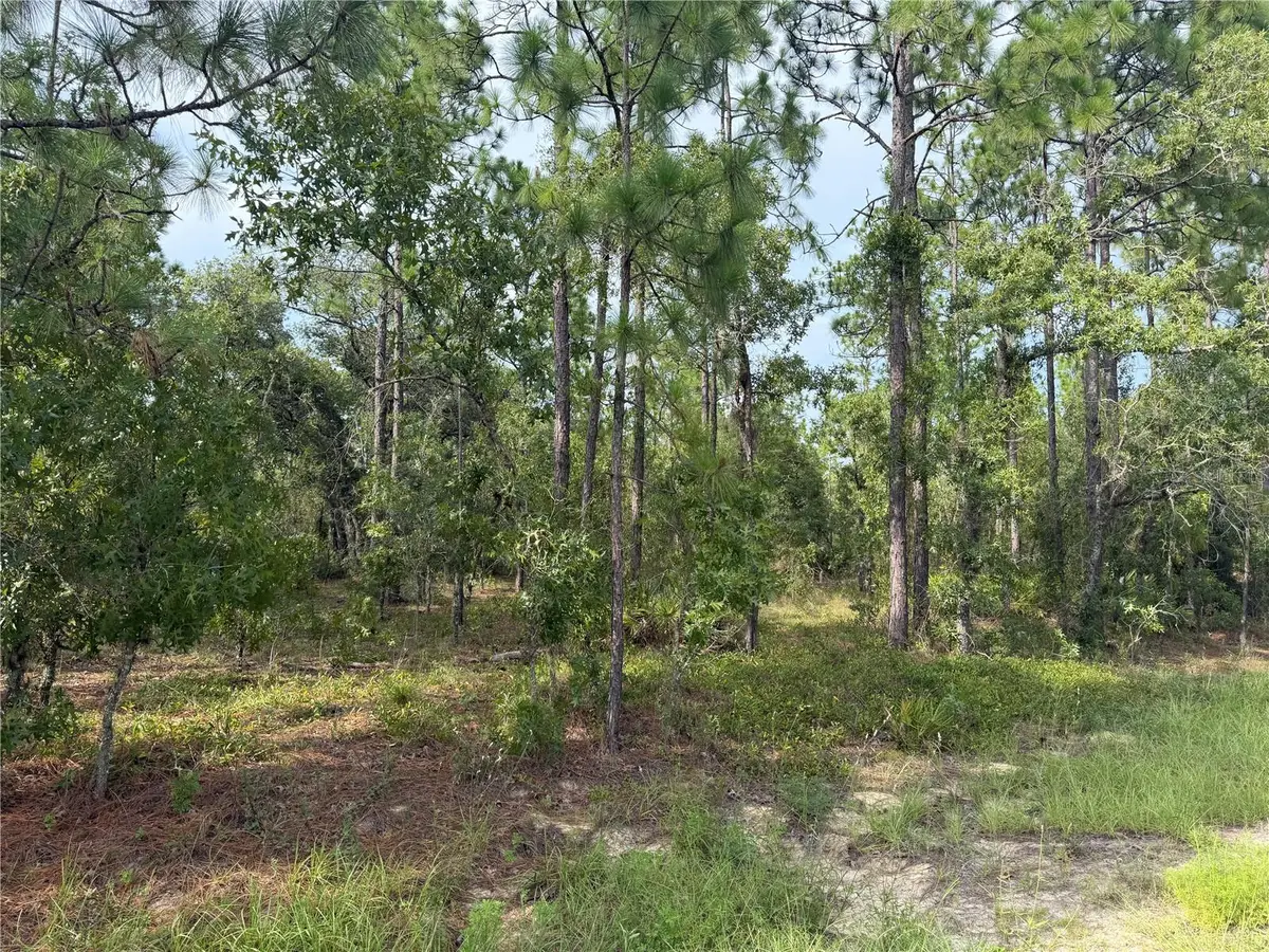SW 88 Street, Dunnellon, FL 34432 - #1