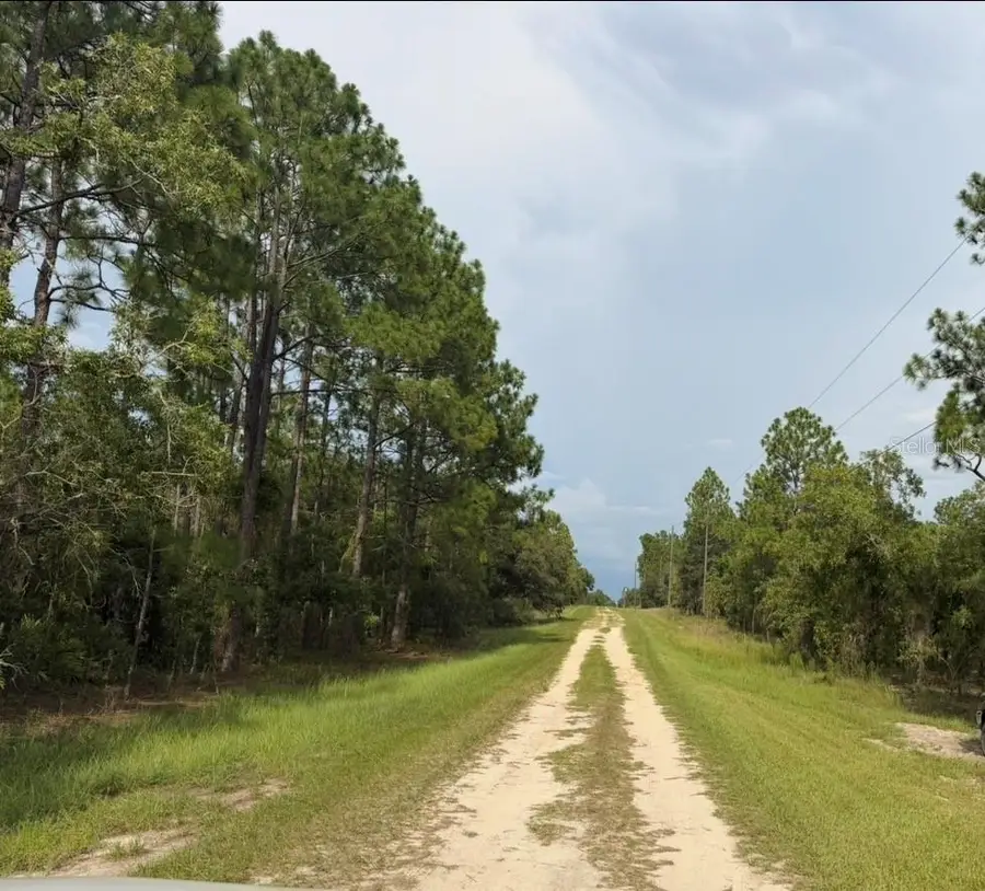 SW 88 Street, Dunnellon, FL 34432 - #3