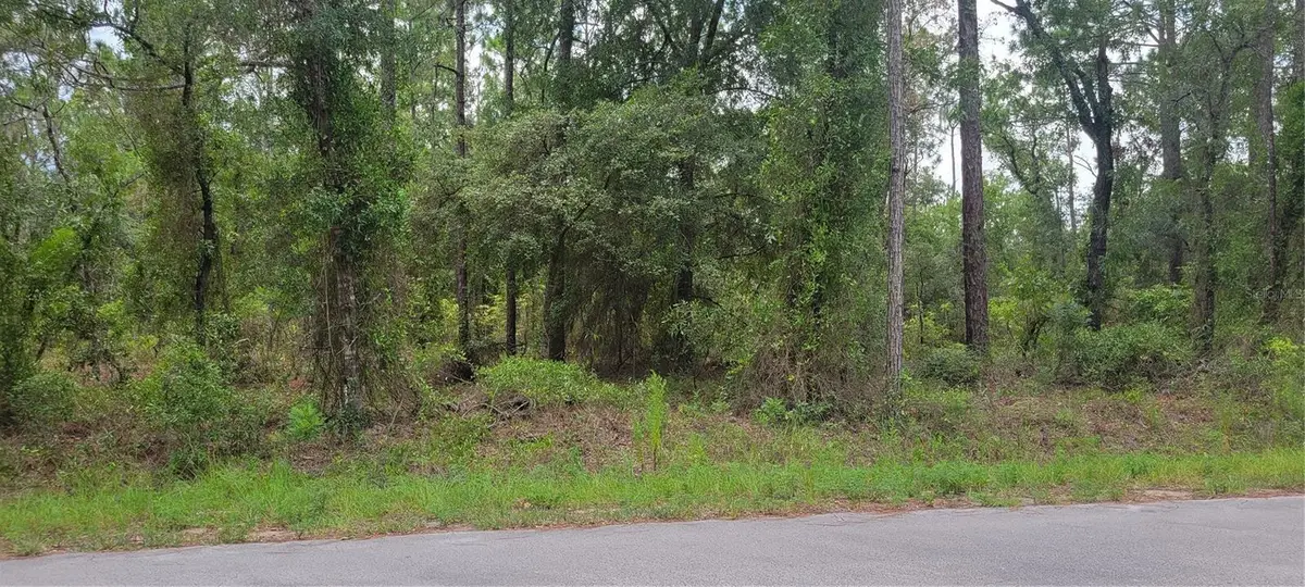 0 NW Chestnut Avenue, Dunnellon, FL 34431 - #1
