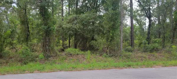 0 NW Chestnut Avenue, DUNNELLON, FL 34431