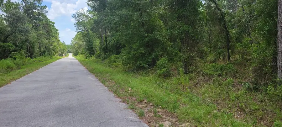 0 NW Chestnut Avenue, Dunnellon, FL 34431 - #3