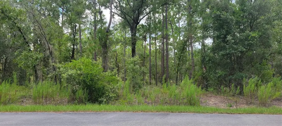 0 NW Highview Avenue, Dunnellon, FL 34431 - #2
