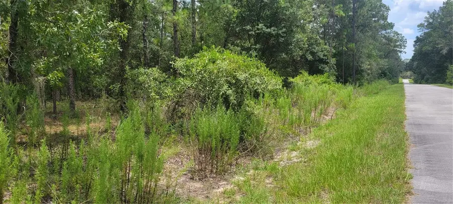 0 NW Highview Avenue, Dunnellon, FL 34431 - #3