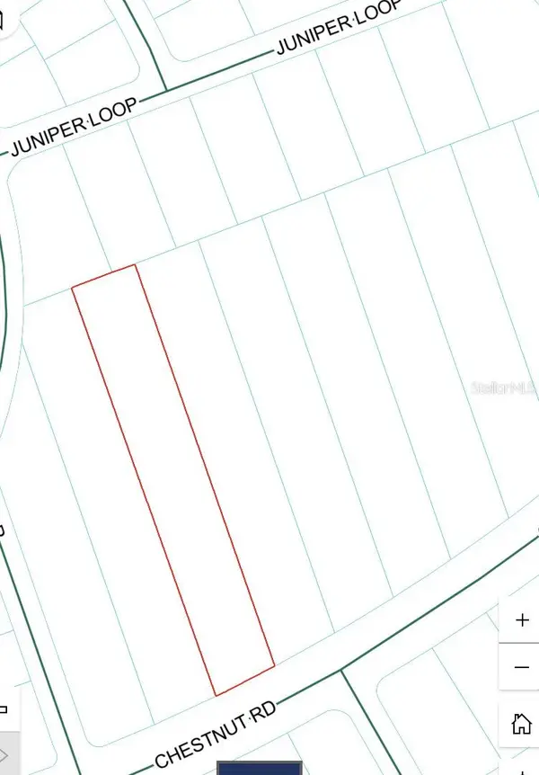 241 Chestnut Road, OCALA, FL 34480