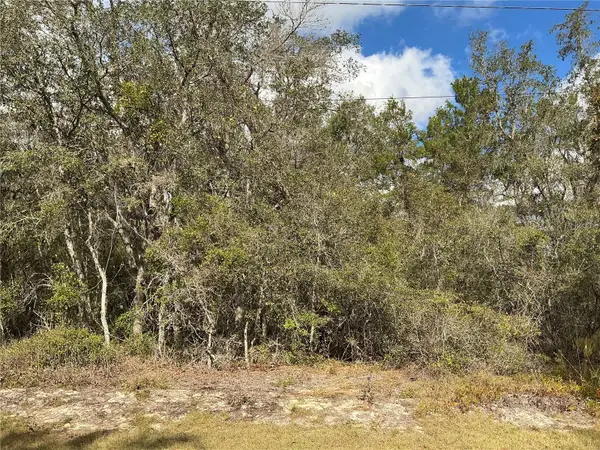 LOT 8 Fisher Trace, OCKLAWAHA, FL 32179