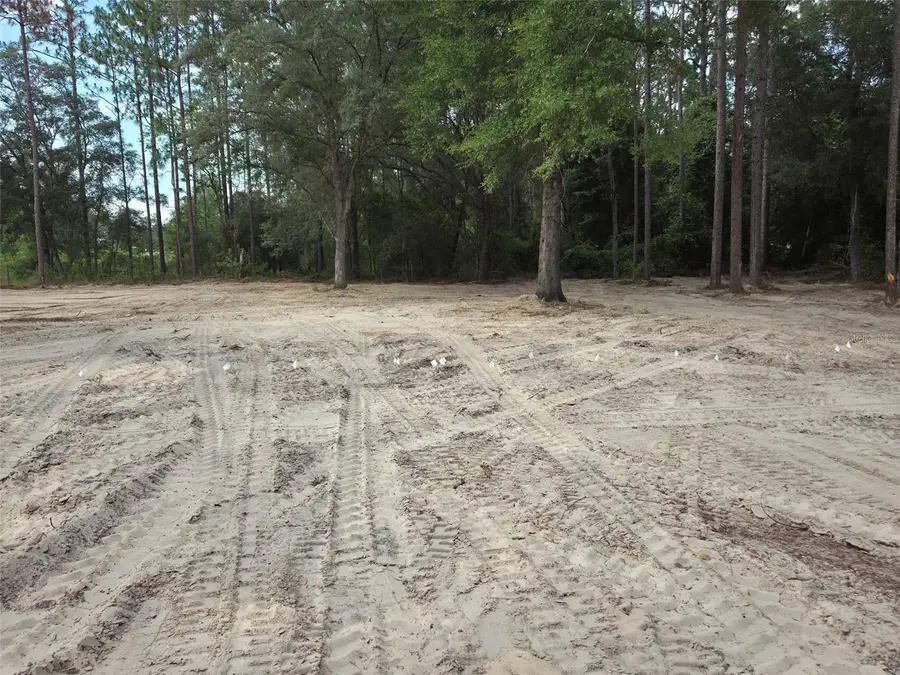 TBD SE 40th Street, Morriston, FL 32668 - #2