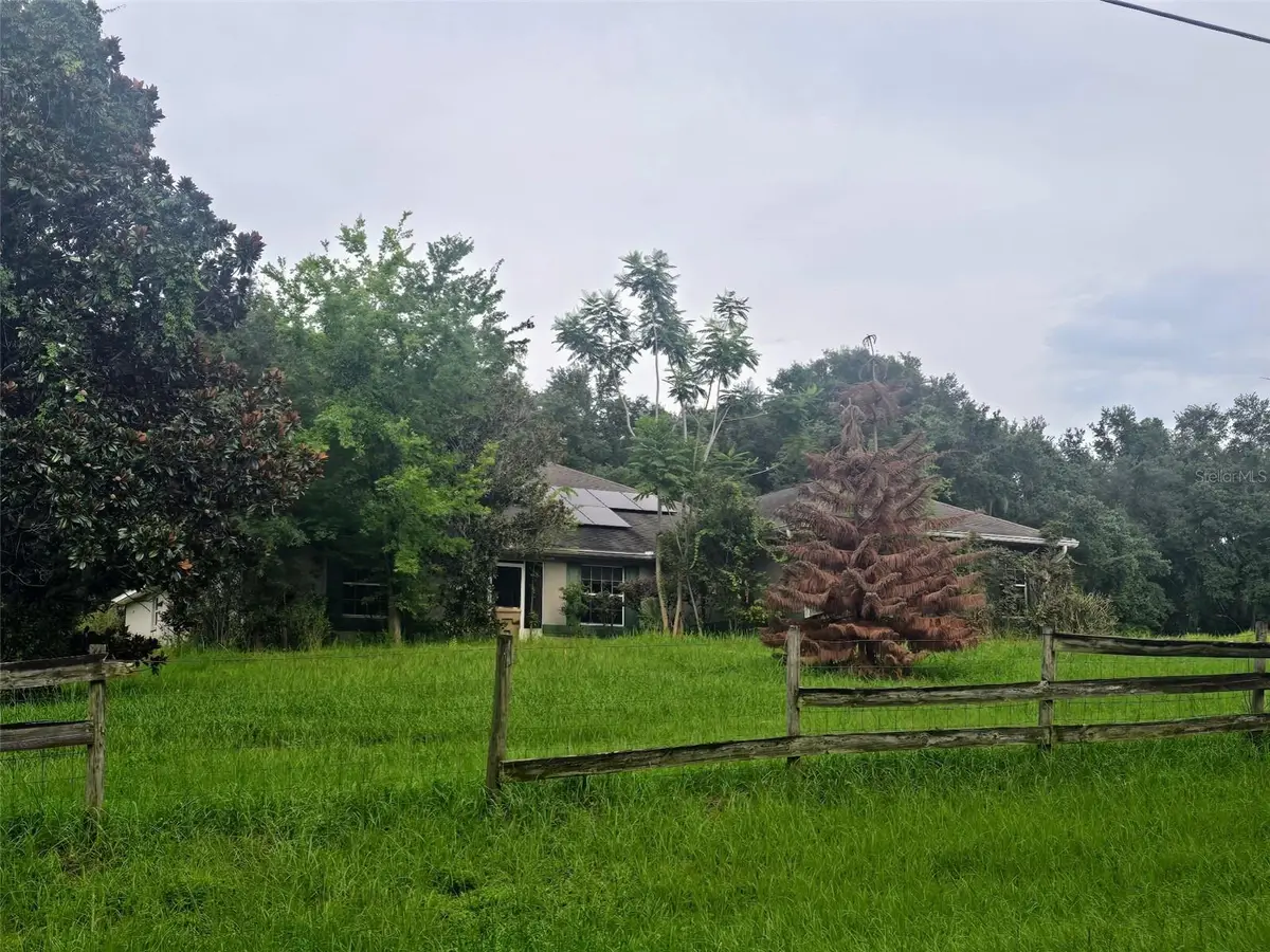 310 Tomato Hill Road, Leesburg, FL 34748 - #1