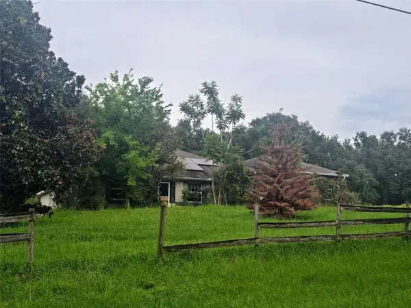 310 Tomato Hill Road, LEESBURG, FL 34748