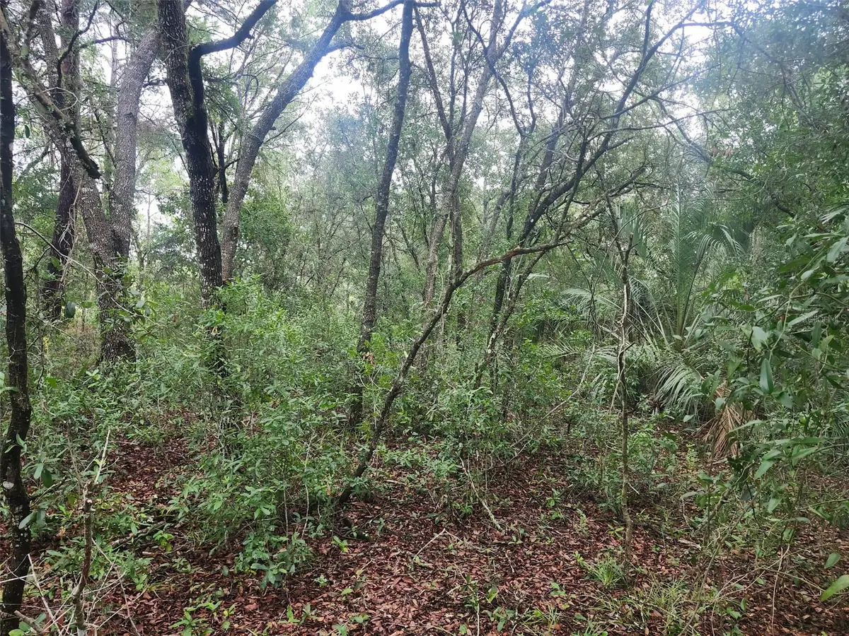 SW Sands Point Avenue, Dunnellon, FL 34432 - #1