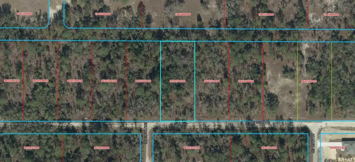 TBD SE 100th Place, Dunnellon, FL 34431 - #1