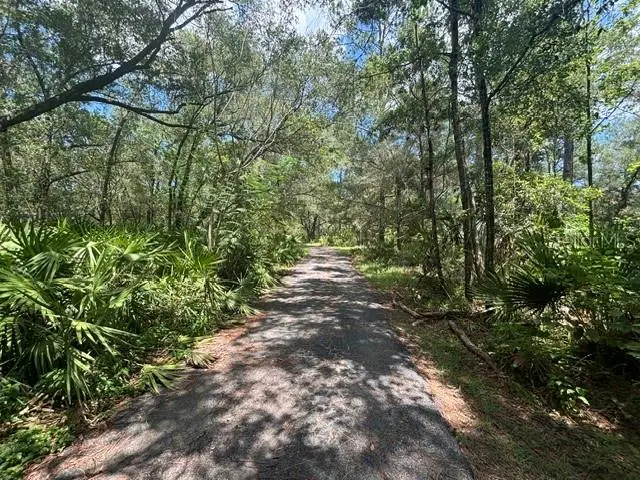 6594 N Gold Leaf Point, Dunnellon, FL 34433 - #2