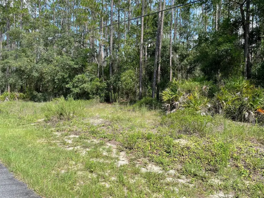 LOT 23 SW Tiger Lake Boulevard W, Dunnellon, FL 34431 - #2