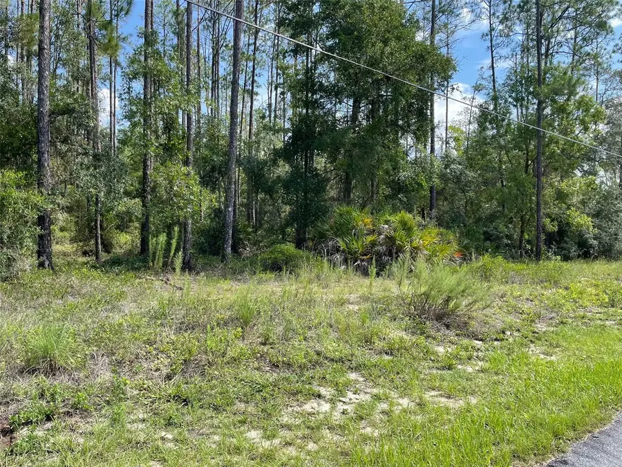 LOT 23 SW Tiger Lake Boulevard W, Dunnellon, FL 34431 - #3