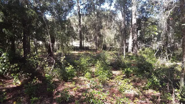 00 NW Chestnut Avenue, DUNNELLON, FL 34431