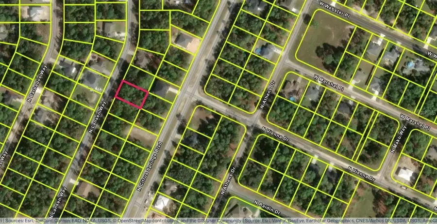 8935 N Lansen Way, Citrus Springs, FL 34433 - #2