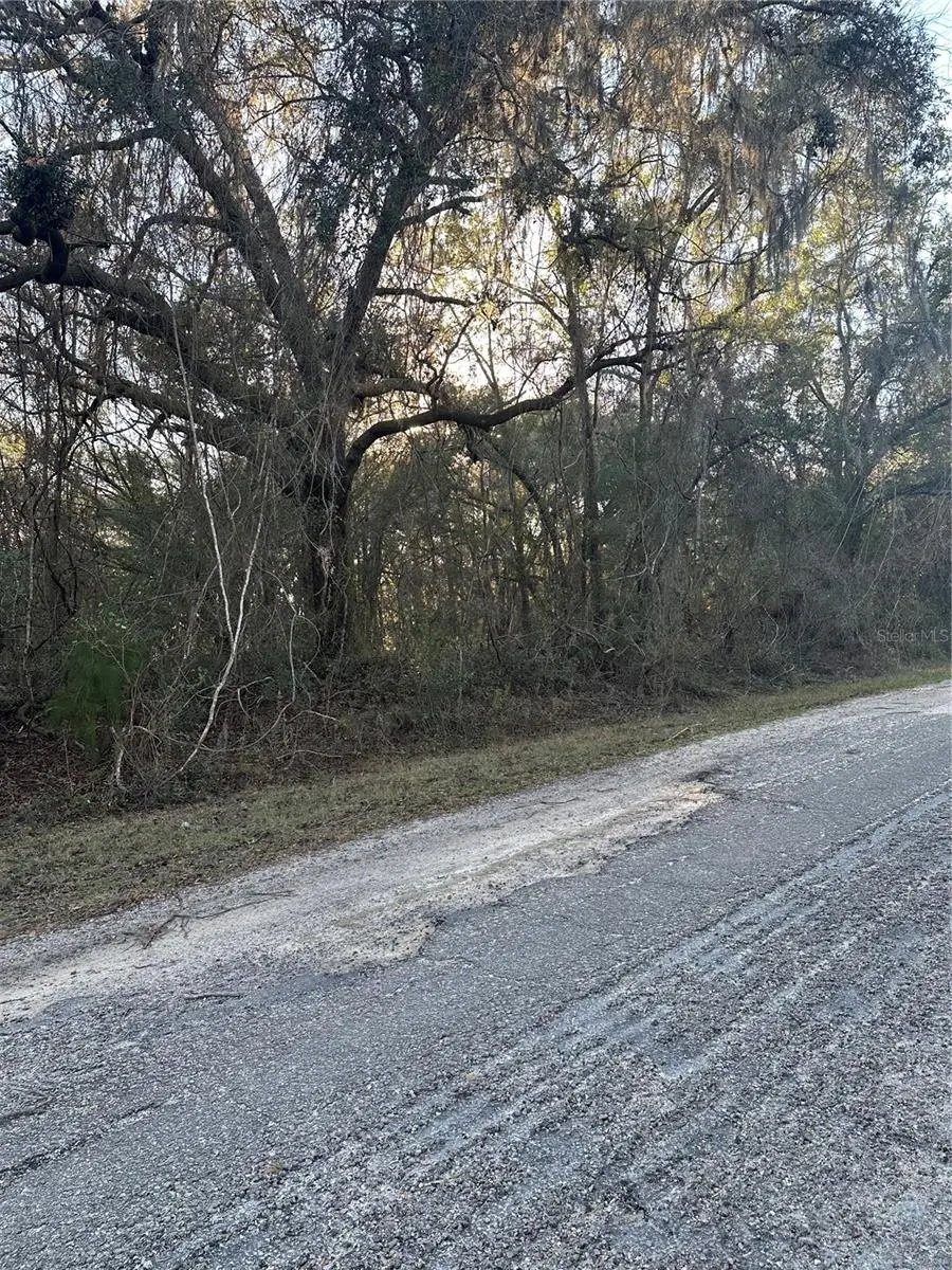 8276 N Elida Avenue, Dunnellon, FL 34434 - #2