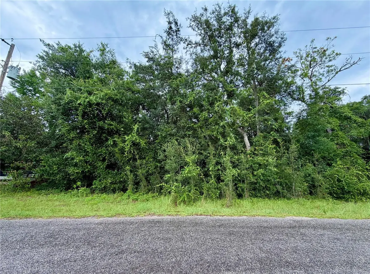 0 Se 175th Ter Rd, Silver Springs, FL 34488 - #1