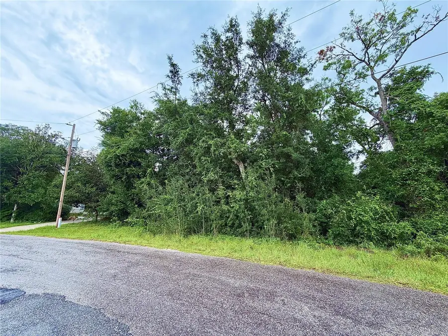 0 Se 175th Ter Rd, Silver Springs, FL 34488 - #2