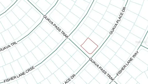 Guava Place Drive, OCKLAWAHA, FL 32179