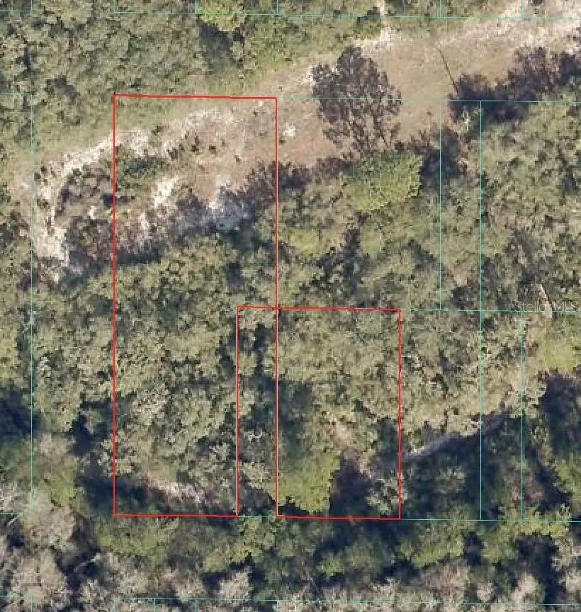 NE 151 Lane, Fort McCoy Anthony, FL 32134 - #1