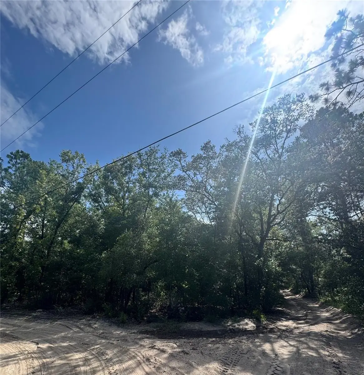 TBD SW 65th Avenue, Dunnellon, FL 34432 - #1