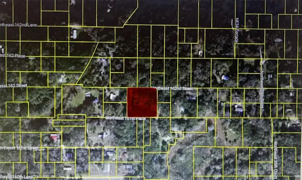 TBD NE 163rd Place, CITRA, FL 32113