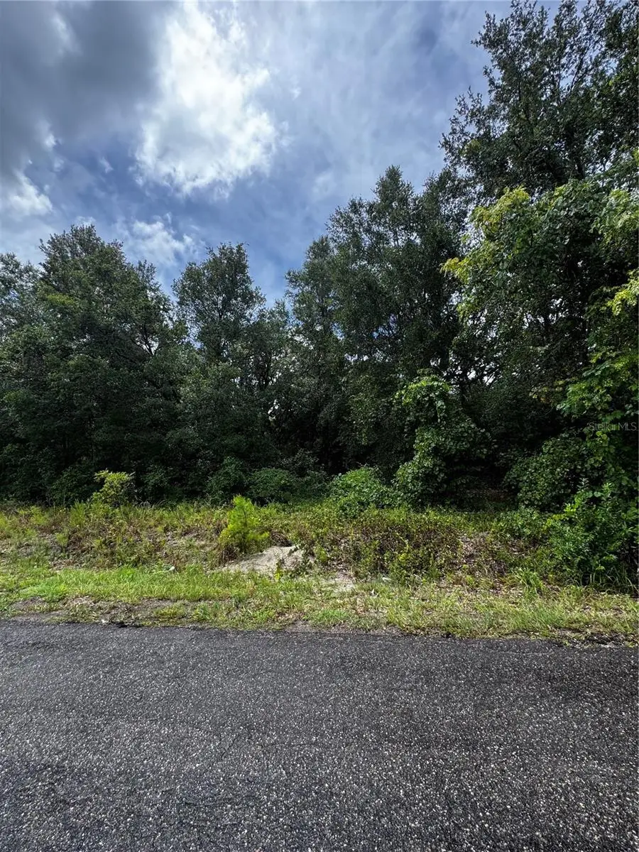00 SE 115th Place Rd., Ocklawaha, FL 32179 - #1