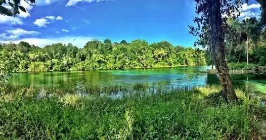 9251 SW 192nd Court, Dunnellon, FL 34432 - #3