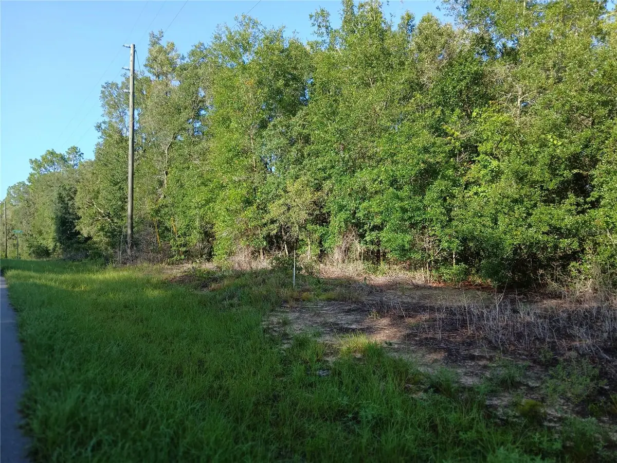 10762 N Academy Drive, Citrus Springs, FL 34434 - #1