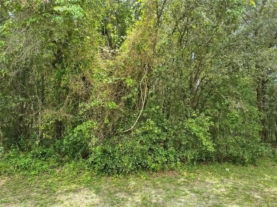 712 W Country Club Boulevard, Citrus Springs, FL 34434 - #2