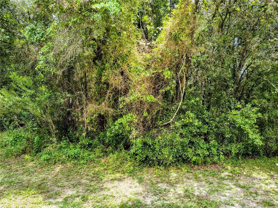 712 W Country Club Boulevard, Citrus Springs, FL 34434 - #3