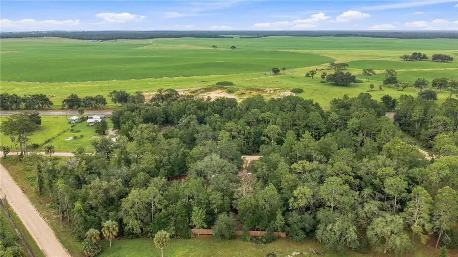 11821 SE 82nd Street, Morriston, FL 32668 - #3
