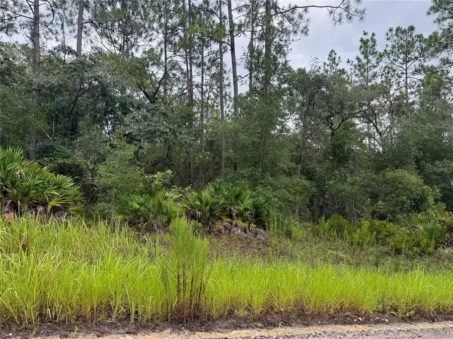 175 Court, Dunnellon, FL 34432 - #2