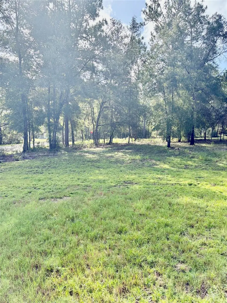 8680 SW 209th Court, Dunnellon, FL 34431 - #3