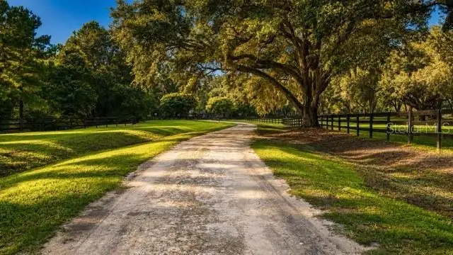 16525 SW 5th Place, Newberry, FL 32669 - #3
