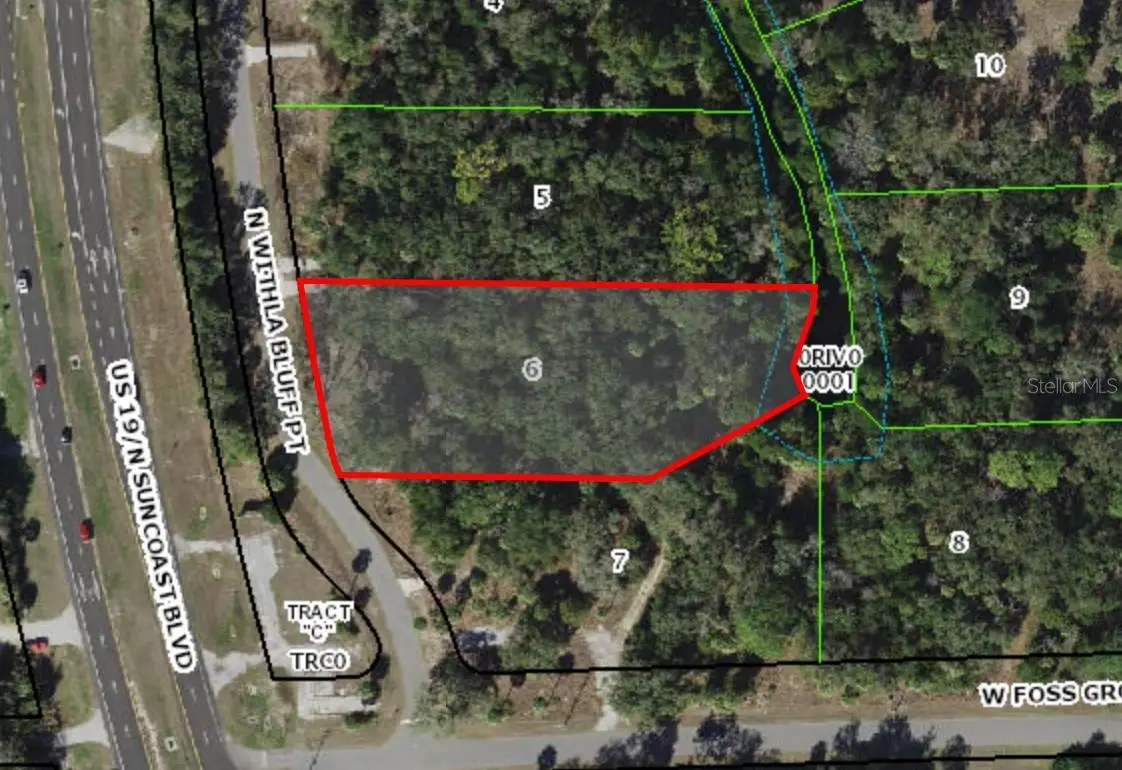 11043 N Withla Bluff Point, Inglis, FL 34449 - #1