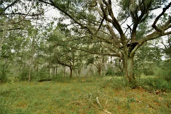00 Sw Bee Tree Road, MADISON, FL 32340
