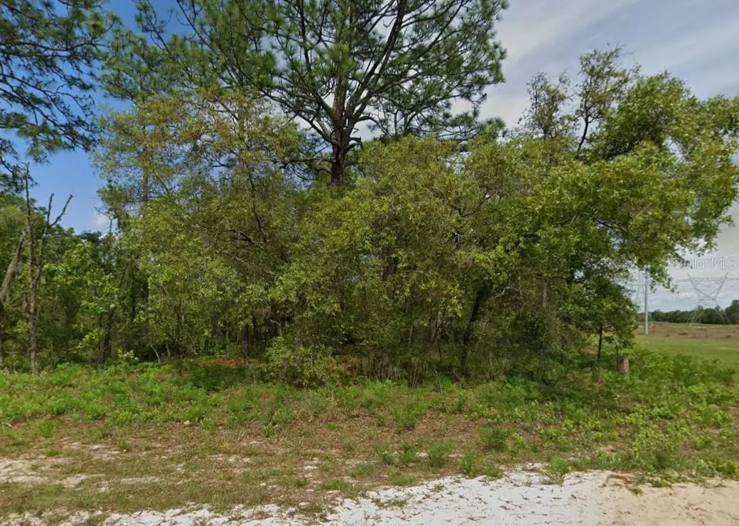 6895 N Varsity Avenue, Citrus Springs, FL 34434 - #1