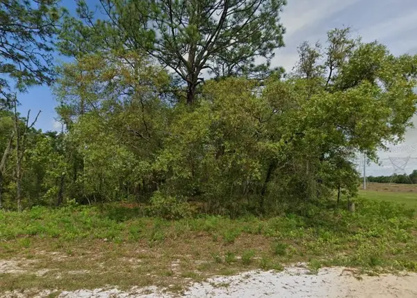6895 N Varsity Avenue, CITRUS SPRINGS, FL 34434